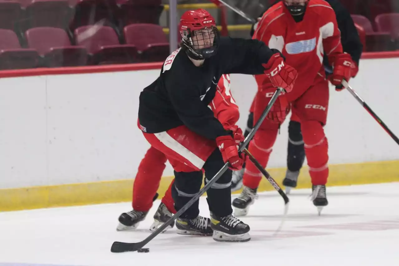 Greyhounds trim camp roster by 12