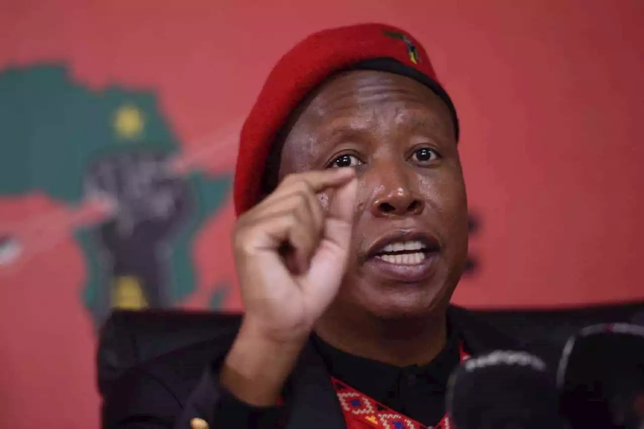 'Teffo an embarrassment to legal profession', says EFF after case opened against Malema | The Citizen
