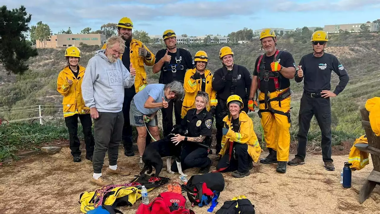 Deaf dog rescued after falling down California ravine, family calls it a 'miracle'