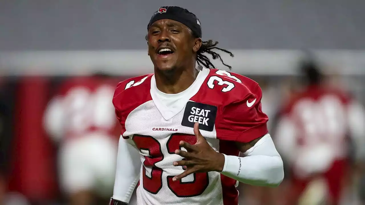 Arizona Cardinals' Antonio Hamilton goes on injured list after being burned in 'freak accident'