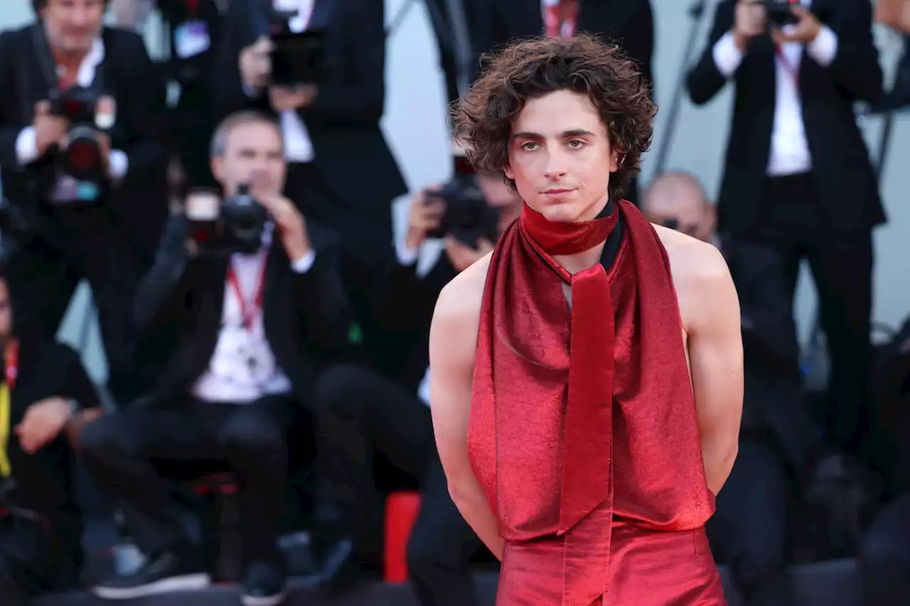 Timothée Chalamet Went Backless on the Venice Red Carpet