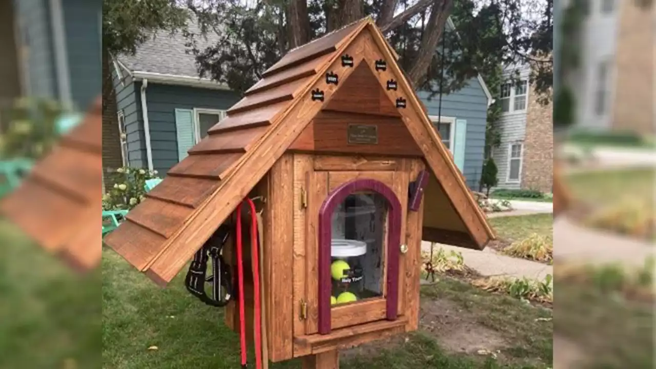 'Dog Library' springs up in Minneapolis neighborhood in memory of beloved pets