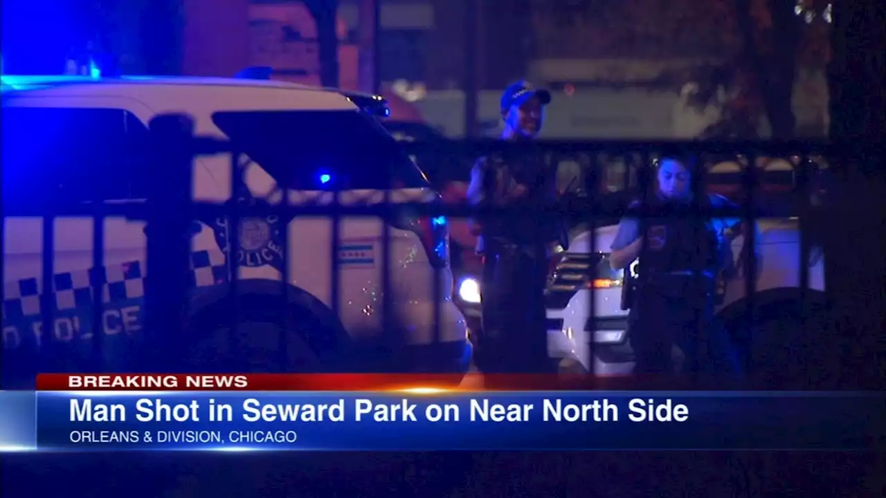 Chicago shooting: Man shot in Seward Park on Near North Side, police say