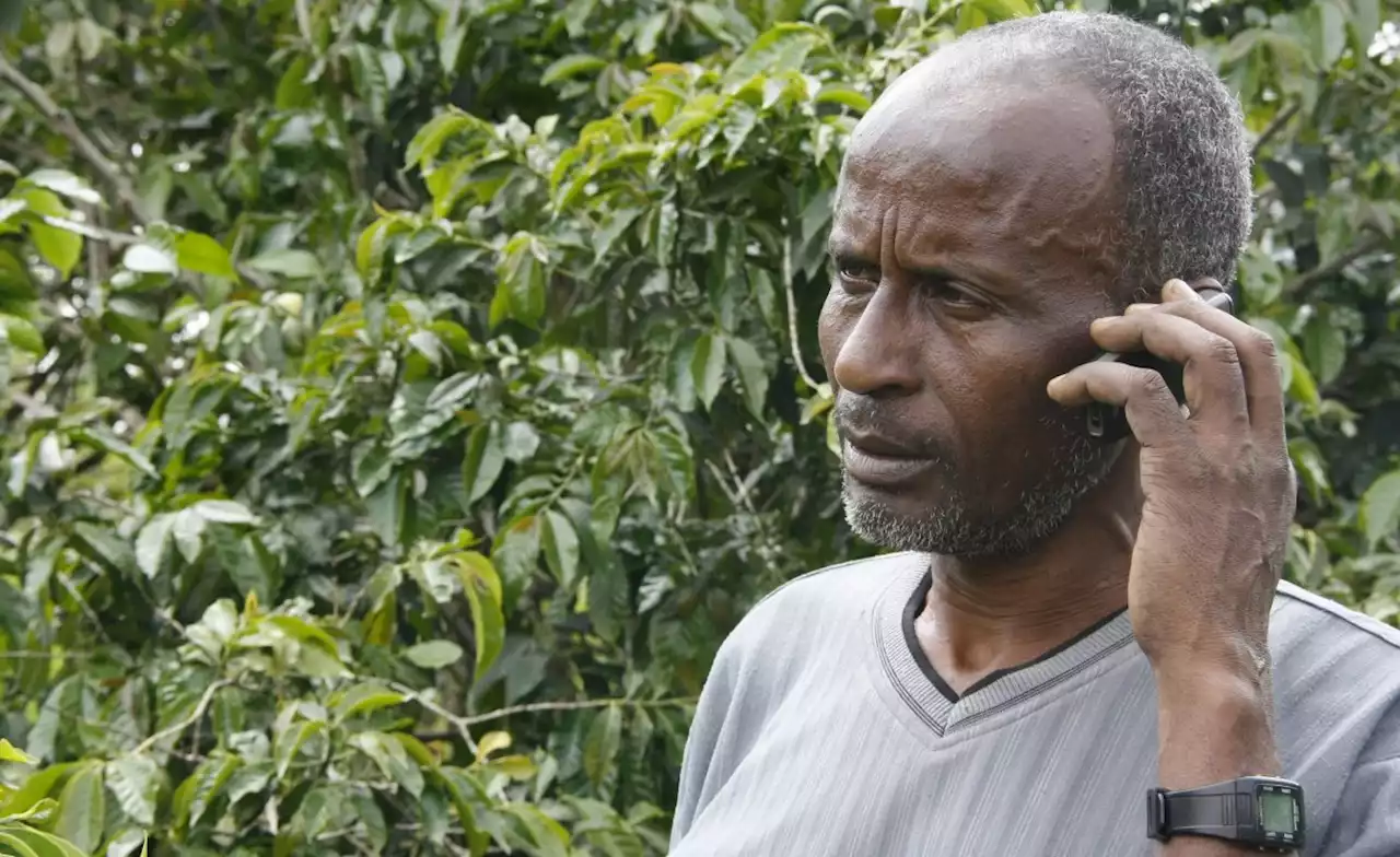 Africa: Harnessing Mobile Technologies Growth to Drive Smart Agriculture in Africa