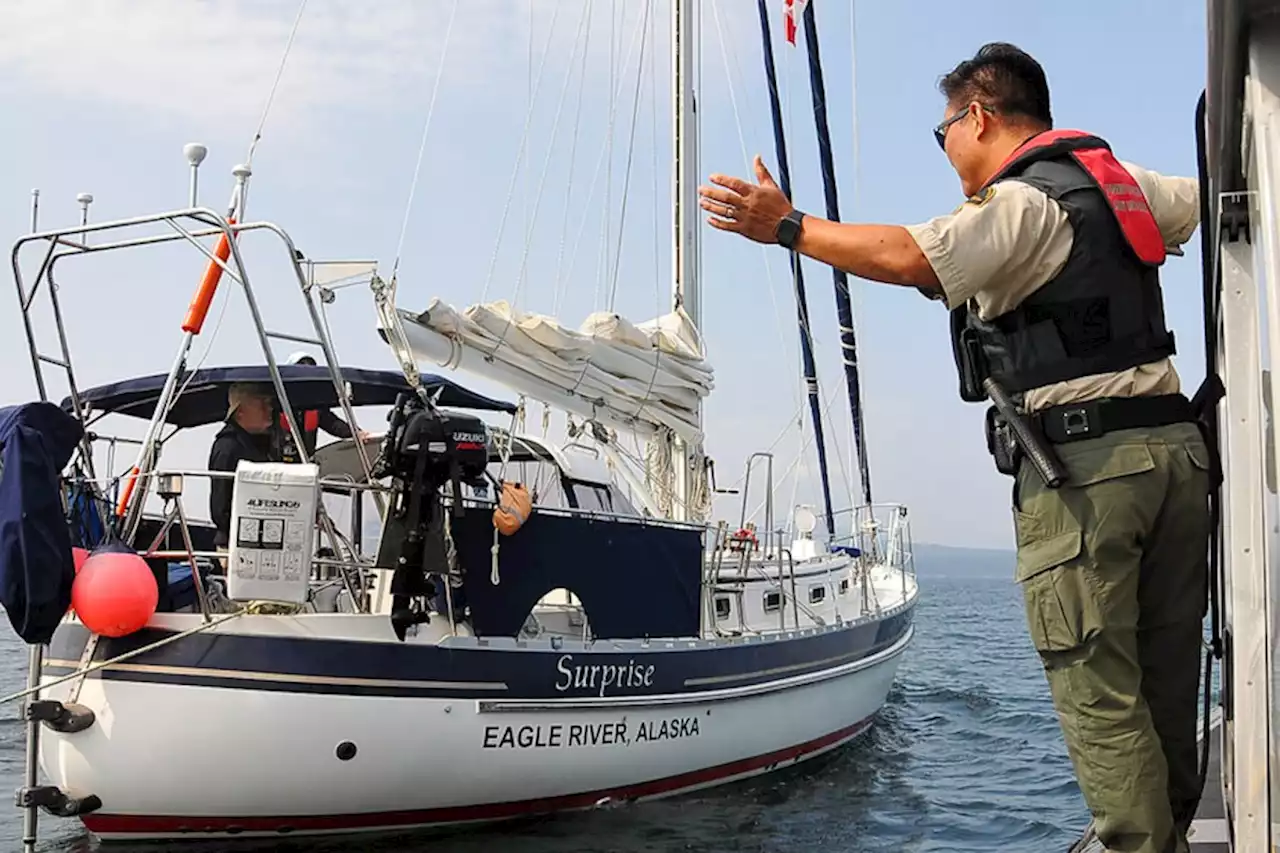 B.C. whales have their own police — but is it enough to fend off humans?