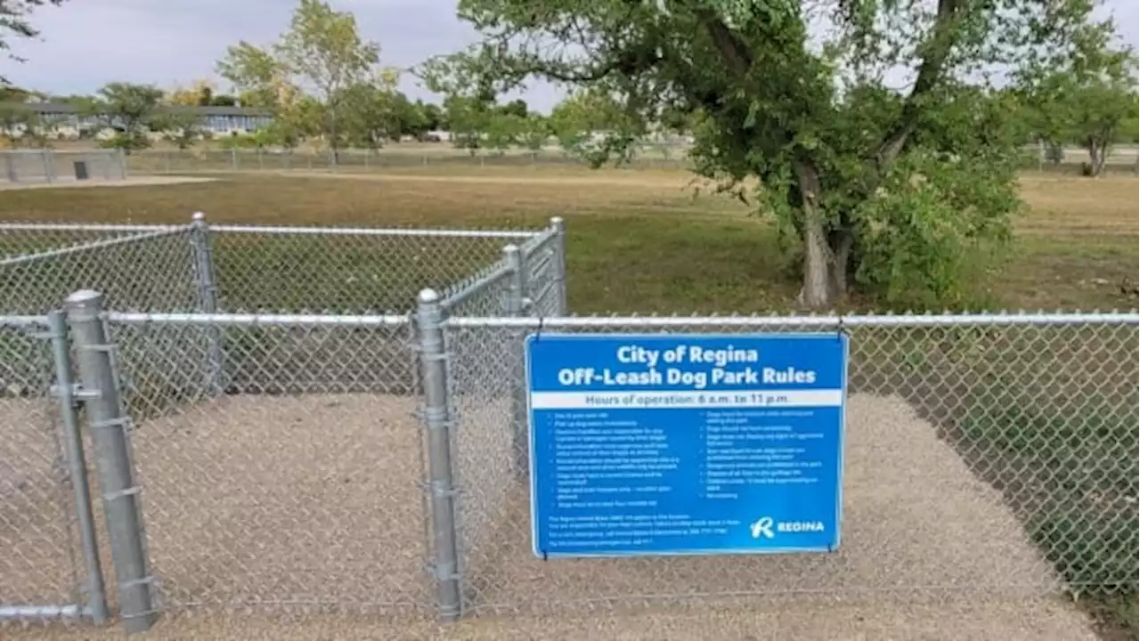 New year-round dog park opens in Regina | CBC News