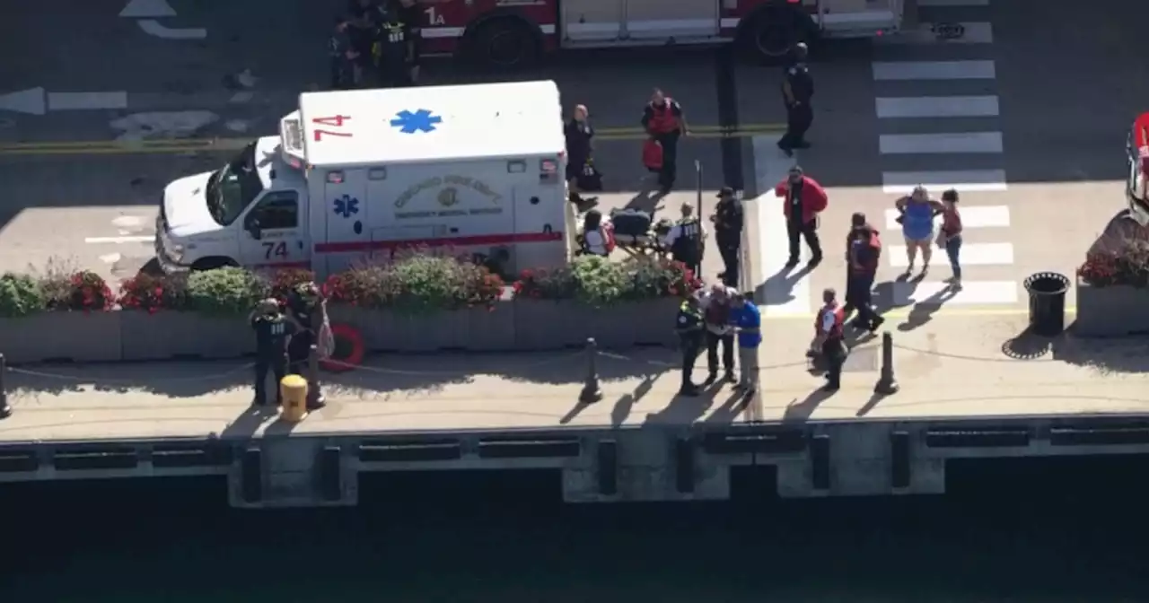 Aunt pushed 3-year-old boy into Lake Michigan near Navy Pier, sources say