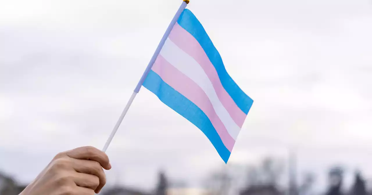 Montana to temporarily allow transgender people to change gender on birth certificates after previously saying it would defy judge's order