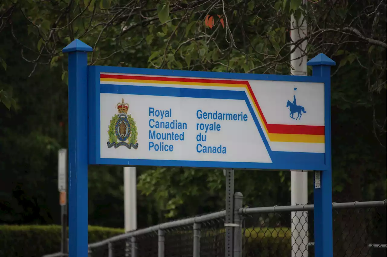 Man charged after firing BB gun at Nanaimo RCMP officers