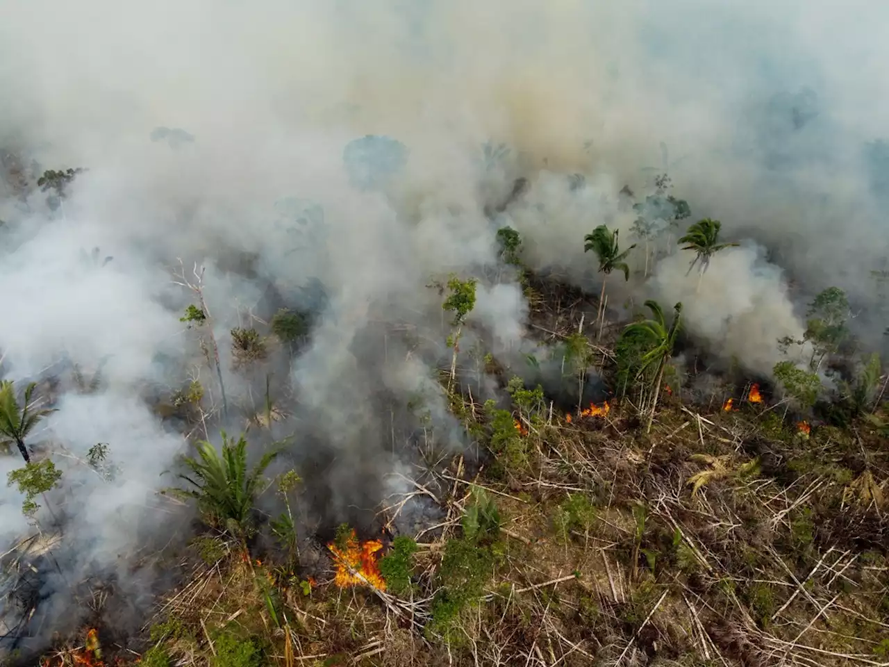 Brésil : l’Amazonie a enregistré plus d’incendies depuis janvier que sur toute l’année 2021