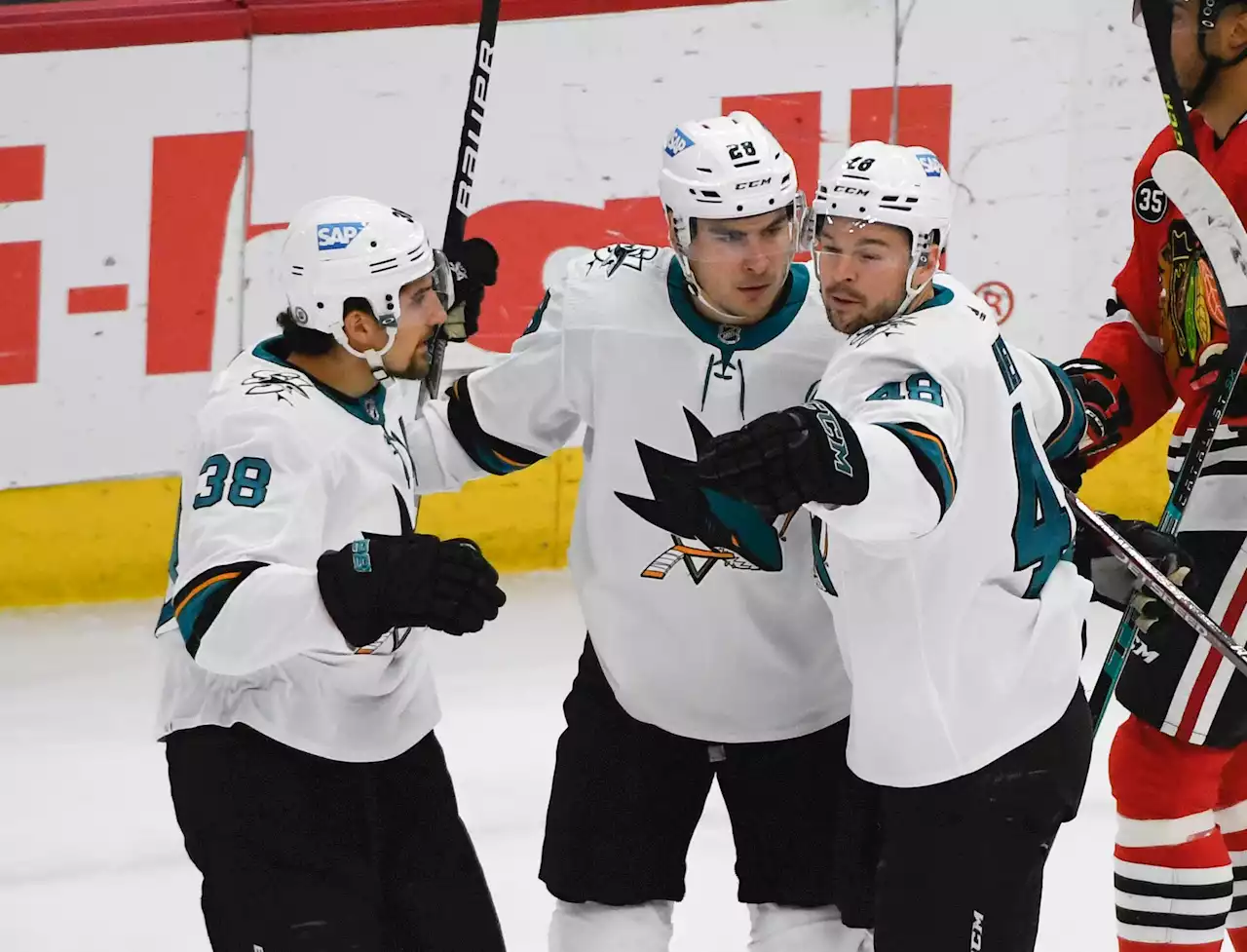 2022-23 NHL team preview: San Jose Sharks - Daily Faceoff