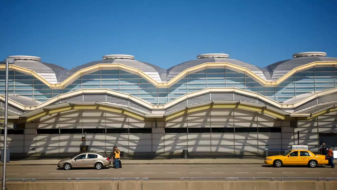 Lucky Buns, MahoganyBooks Heading To DCA