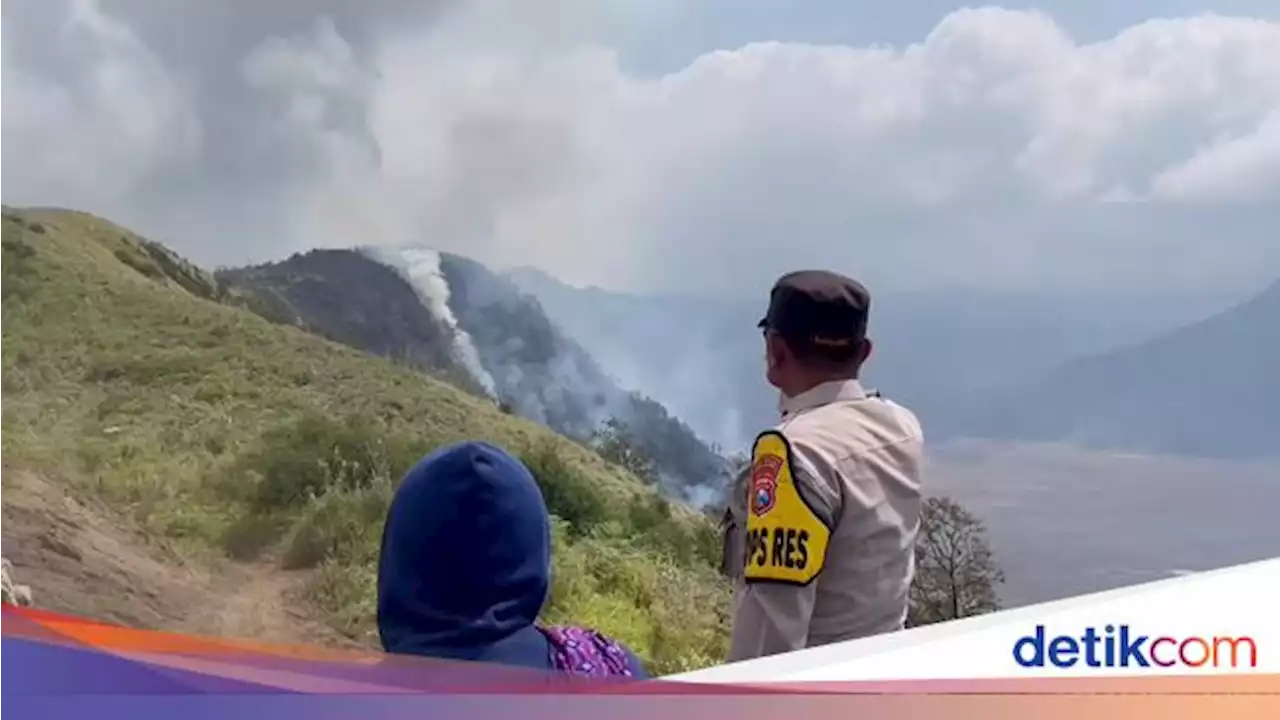 10 Hektare Hutan dan Lahan di Semeru Terbakar