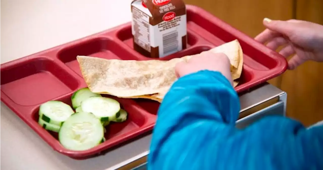 N.S. schools failing to offer healthy lunch options, says auditor general - Halifax | Globalnews.ca