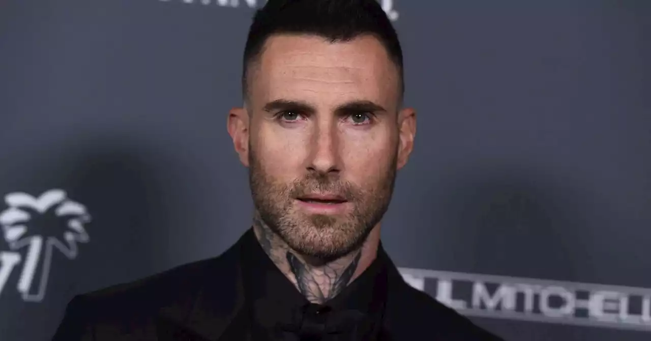 Adam Levine Breaks Silence On Influencer's Cheating Accusation: 'I Crossed The Line'