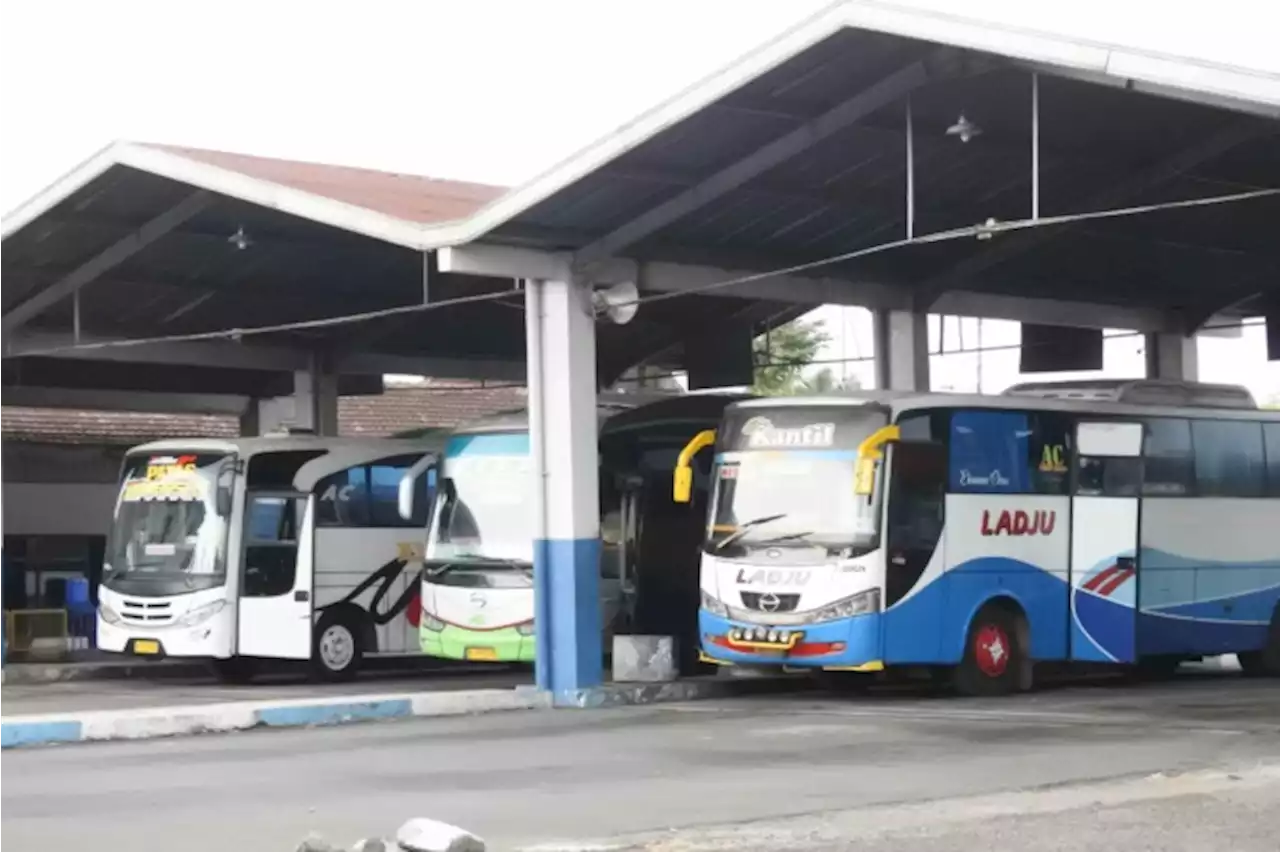 Tiket Bus Daring Mulai Diproses