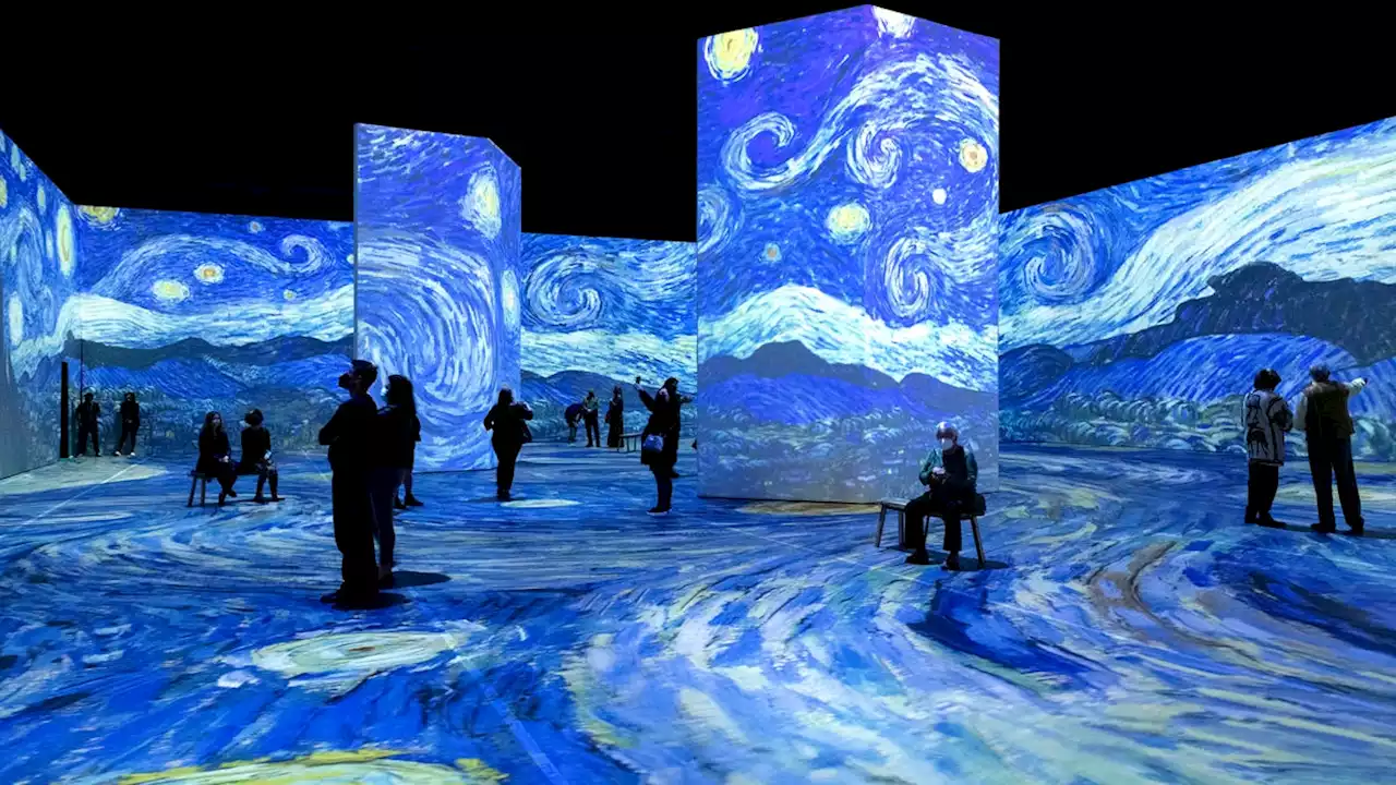 Immersive art show Beyond Van Gogh extends run in Jacksonville