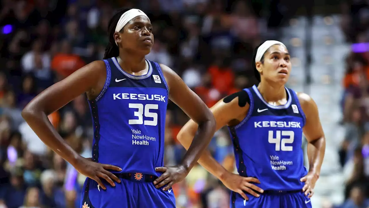 WNBA Players to Avoid Russia in the Offseason