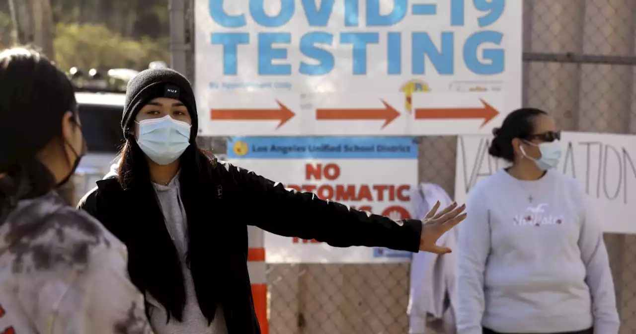 California ends coronavirus testing requirements for certain unvaccinated workers