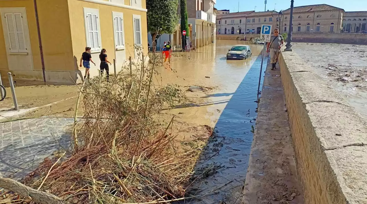 Alluvione Marche, procuratrice di Ancona: 'E' mancata l'allerta'