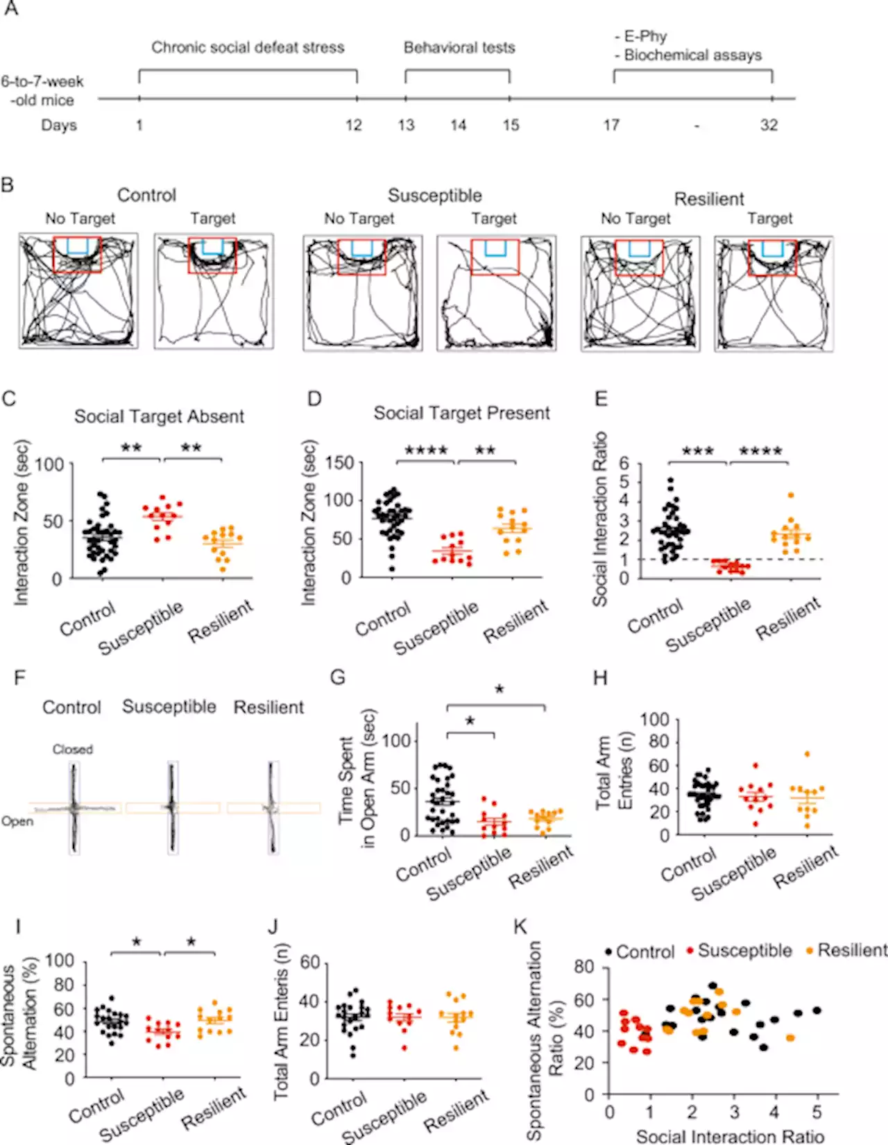 Glucocorticoid-glucocorticoid receptor-HCN1 channels reduce neuronal excitability in dorsal hippocampal CA1 neurons - Molecular Psychiatry