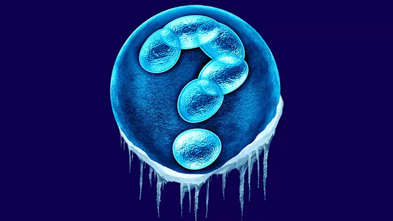 Kids Born From Frozen Embryos May Have Increased Cancer Risk