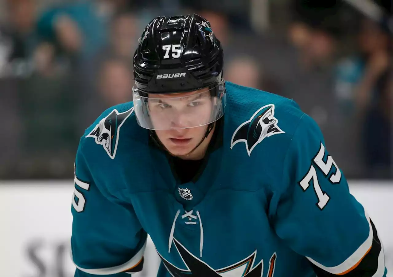 The San Jose Sharks’ best offseason decision? Not repeating past mistakes