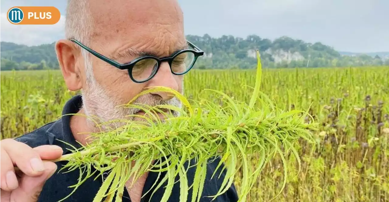 Der Hanfbauer von Lengfeld: Zwischen Frust, Polizeibesuch und Selfie-Maniacs