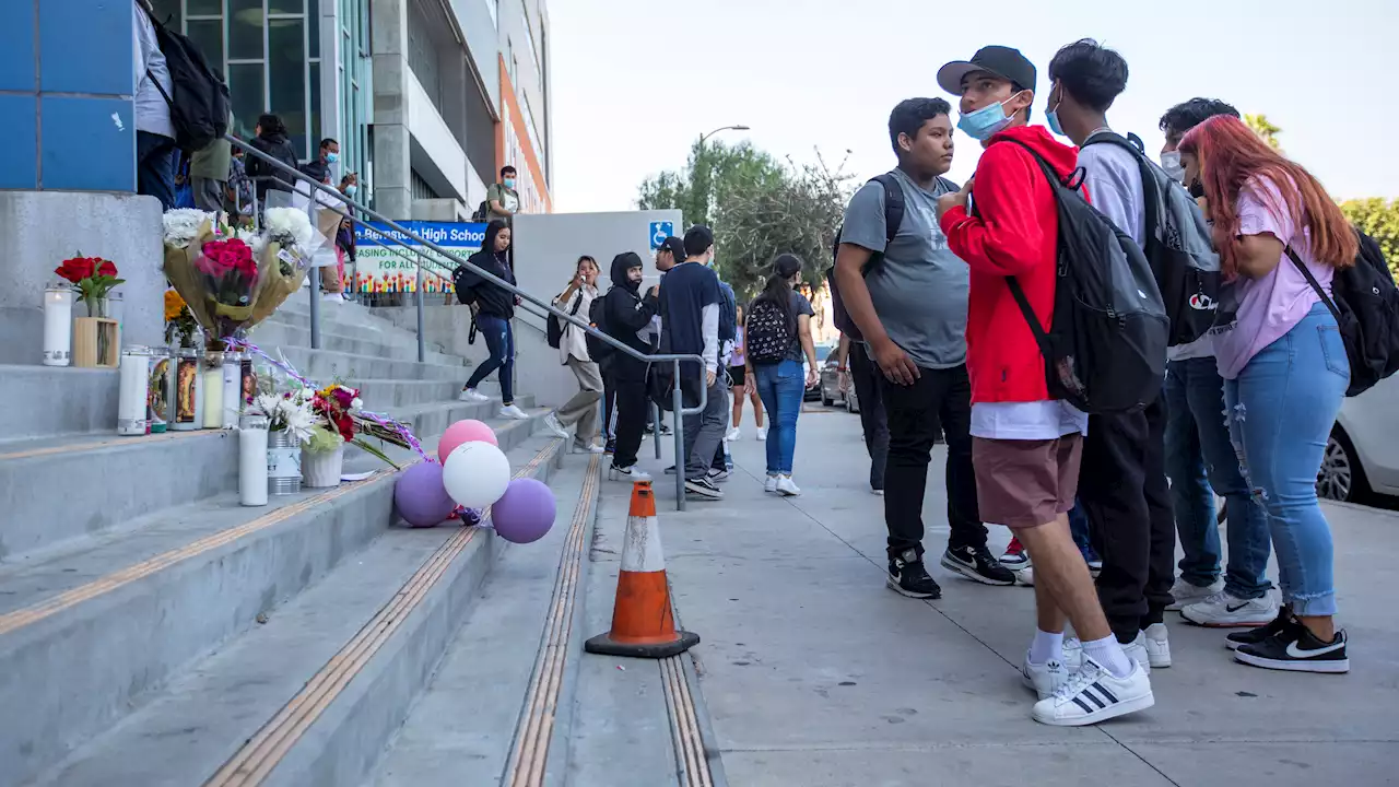 Seventh Teen Ingested Pills Linked to Death of Bernstein HS Student, LAPD Says