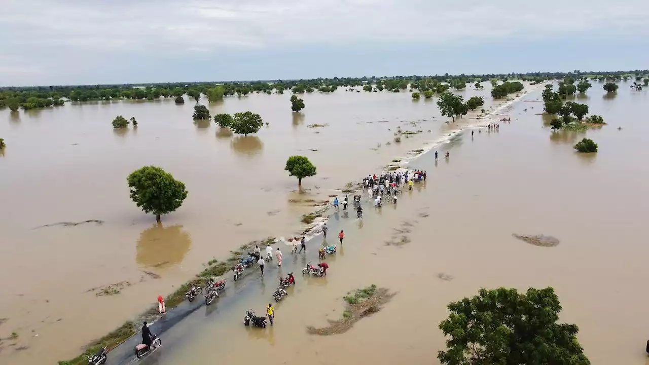 Mindestens 300 Menschen bei Überschwemmungen in Nigeria gestorben