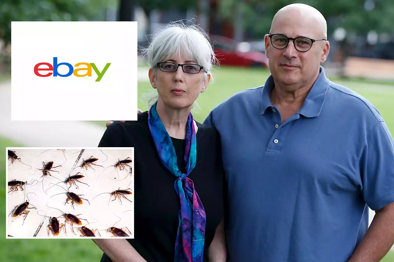 eBay execs terrorized bloggers with live cockroaches, porn: lawsuit