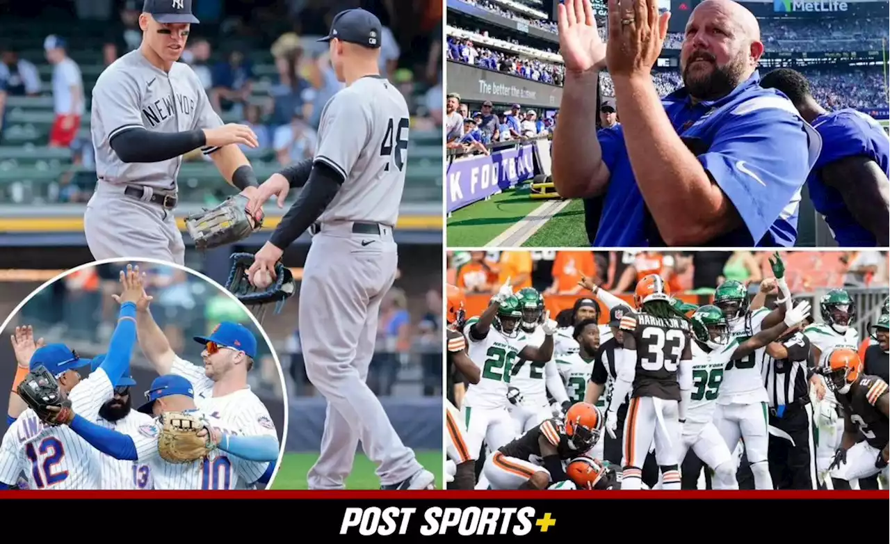 The best parts of an incredibly rare Giants-Jets-Yankees-Mets winning bonanza