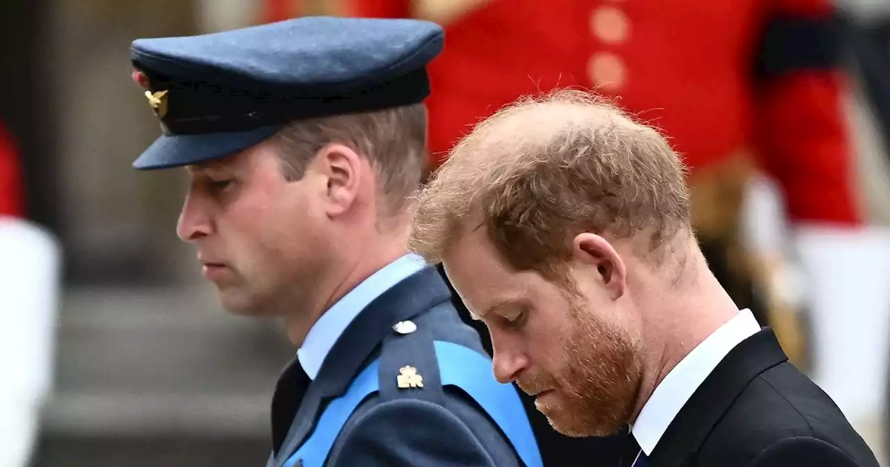 William made small gesture to brother Harry to signal breakthrough, says expert