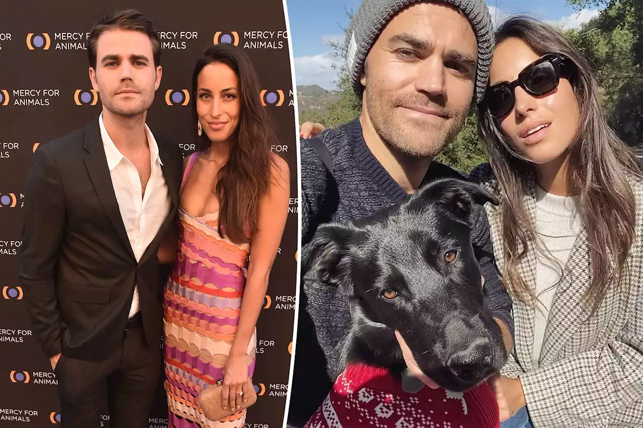 Paul Wesley and wife Ines de Ramon separate after 3 years of marriage