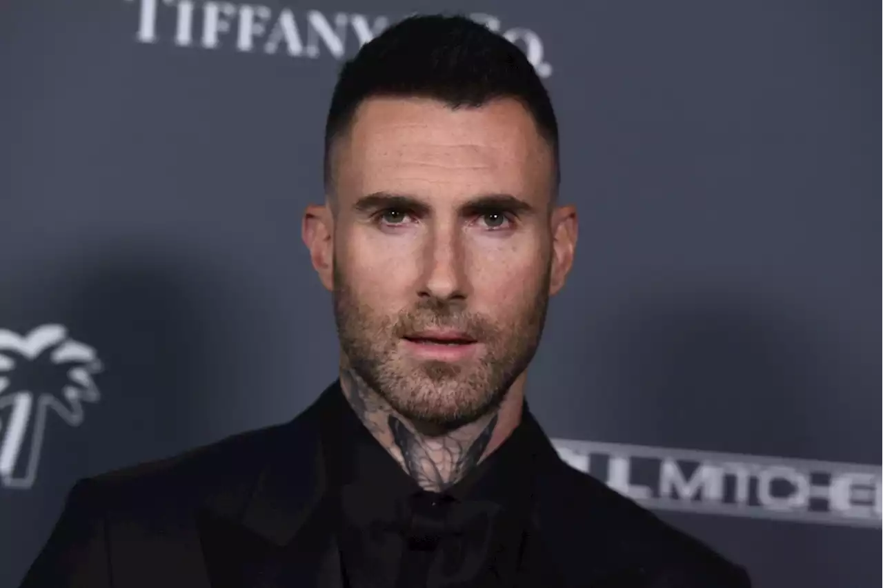 Adam Levine Denies Affair With Instagram Model But Admits He 'Crossed ...