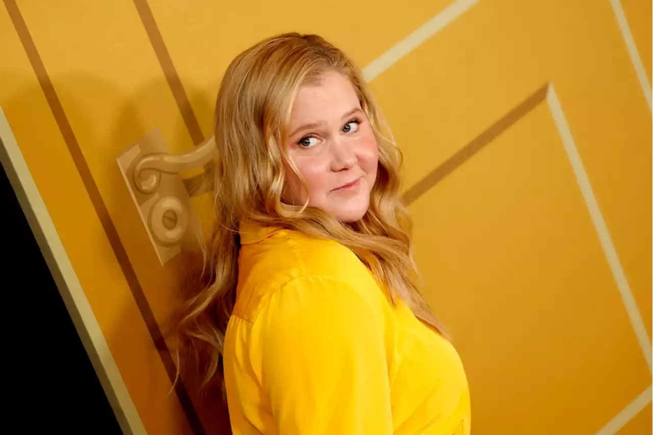 Amy Schumer Promises 'Inside Amy Schumer' Season 5 Return 'Will Finally Get Me Forever Cancelled'