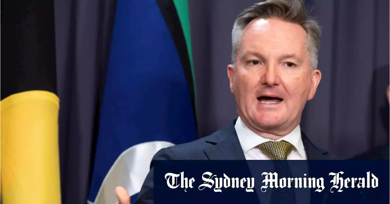 ‘Australia is back’: Chris Bowen spruiks climate agenda on world stage