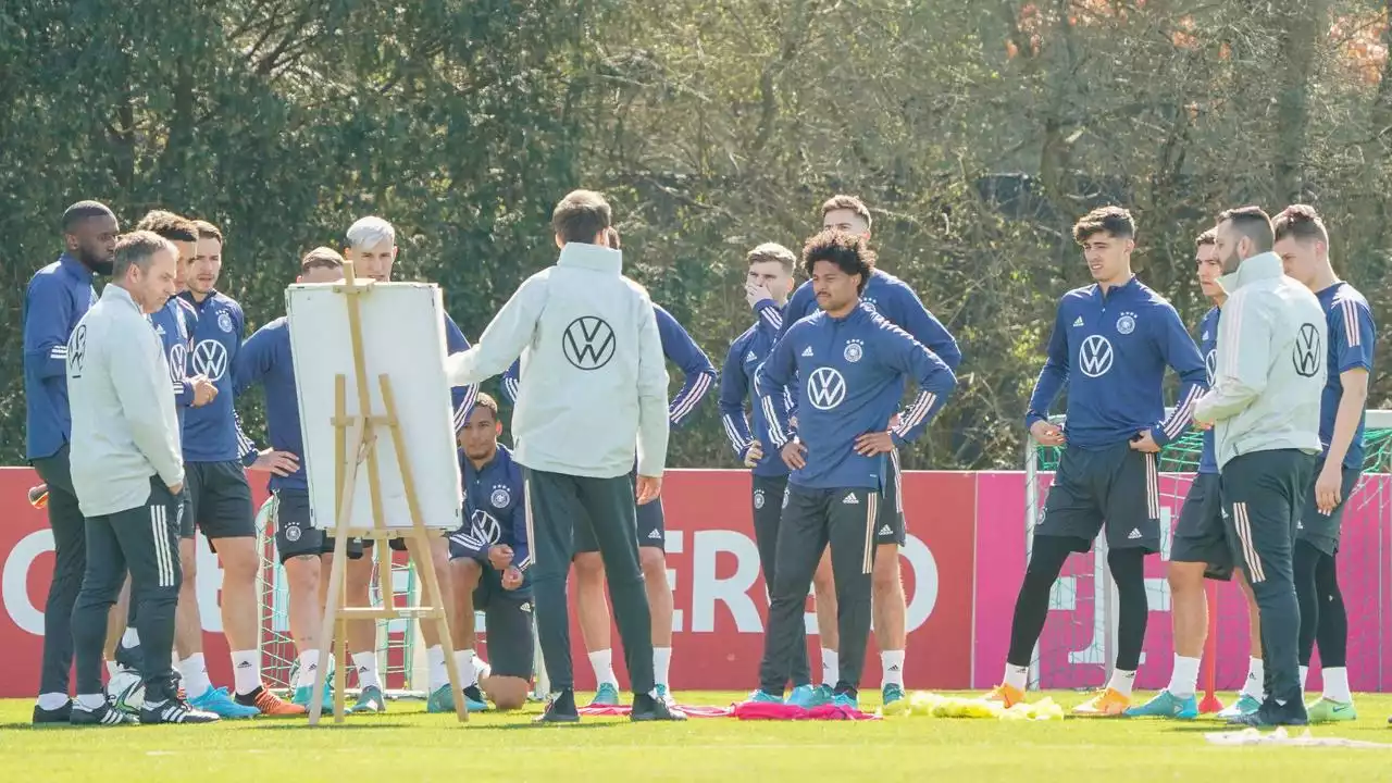 Abstellungen an DFB-Teams: Von U16 bis A-Mannschaft - welcher Verein stellt die meisten Spieler?