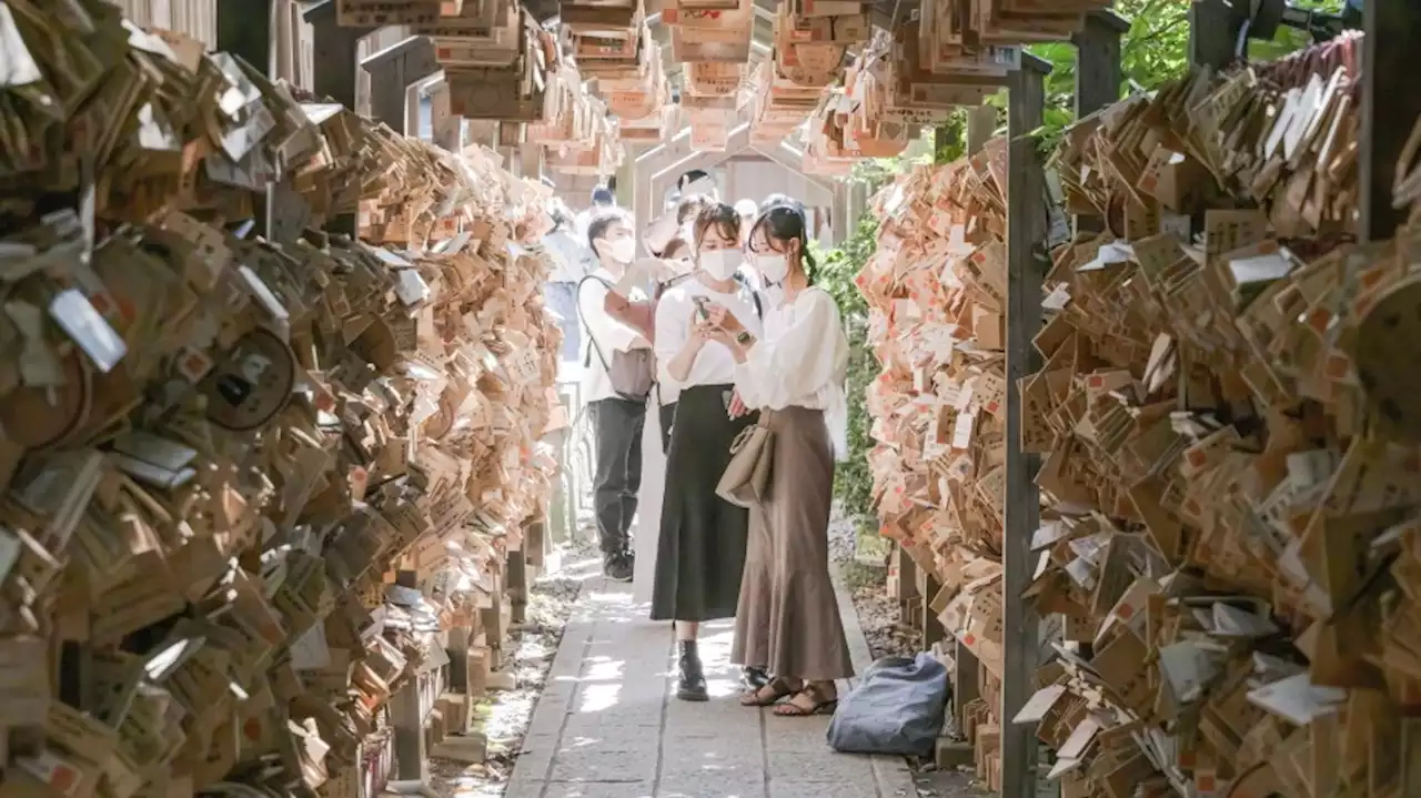 Urlaub in Japan: Wie Reisen wieder möglich werden