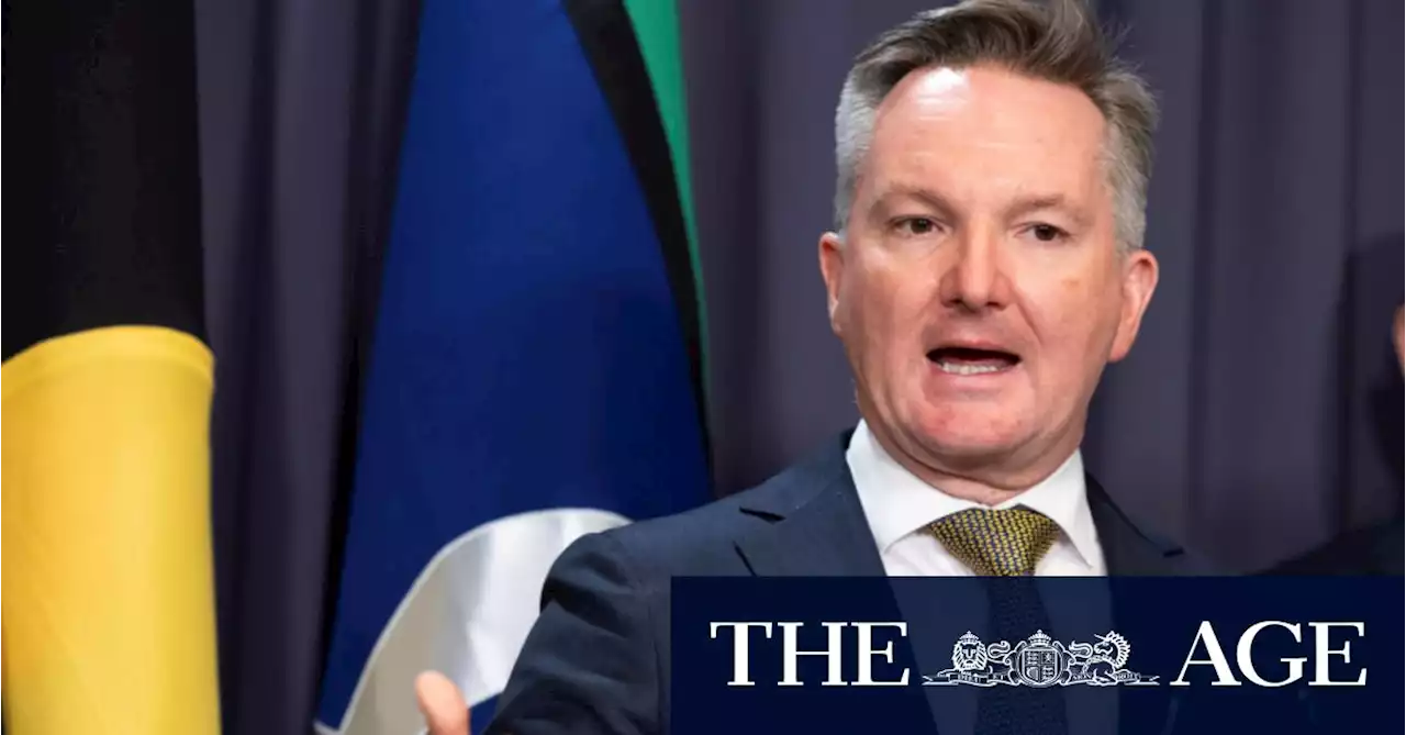 ‘Australia is back’: Chris Bowen spruiks climate agenda on world stage