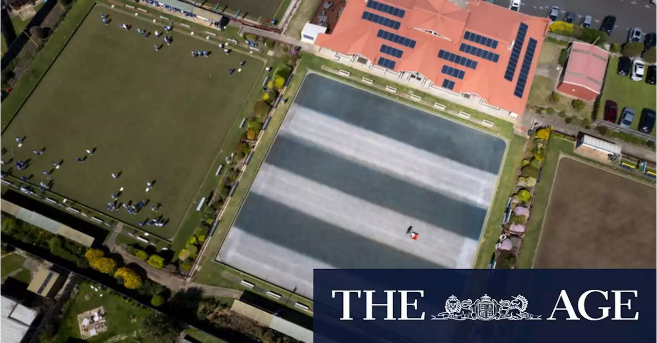 Bowled over: Geelong green turns blue and white for Cats