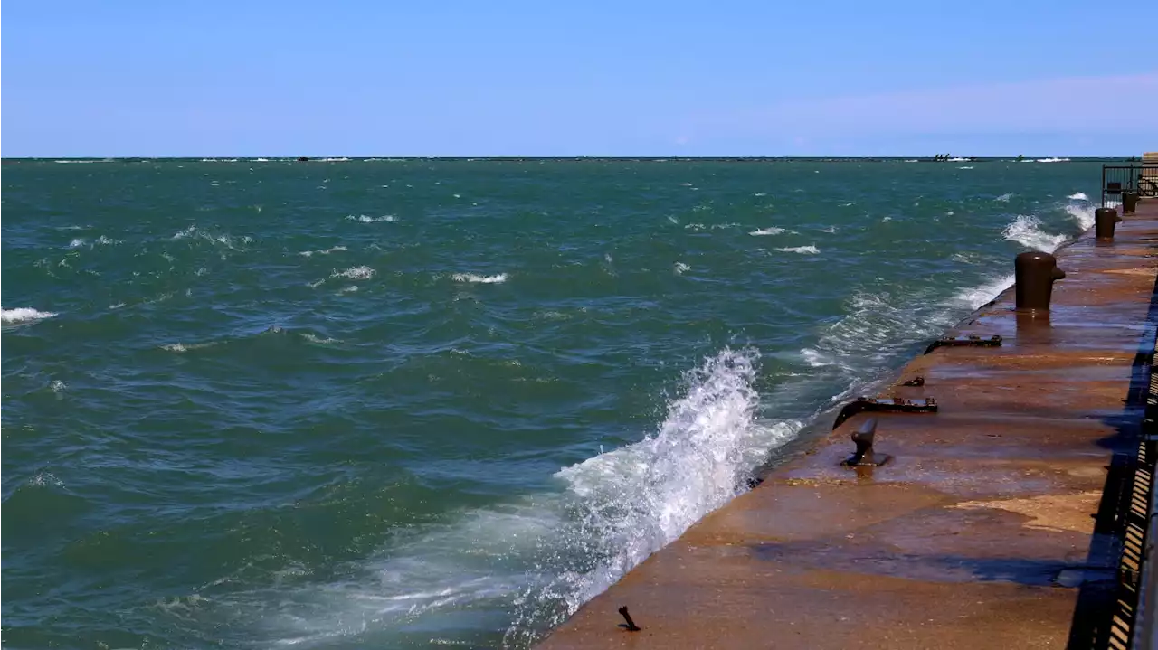 3-Year-Old Boy in Critical Condition After Relative Pushed Him Into Lake Michigan, Cops Say