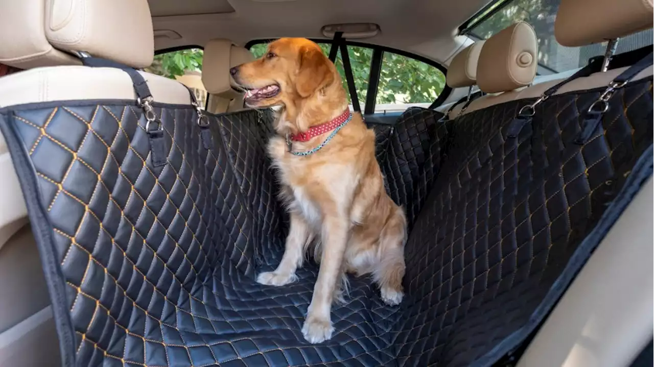 Best Dog Car Seat Covers (Review) in 2022 - Autoblog Commerce | Autoblog