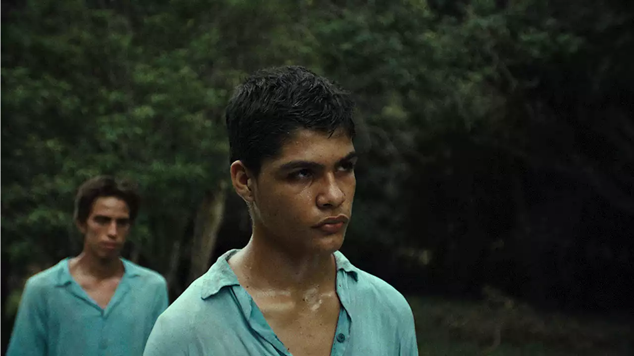 Cannes Critics’ Week Winner ‘La Jauria’ Gets First Trailer (EXCLUSIVE)