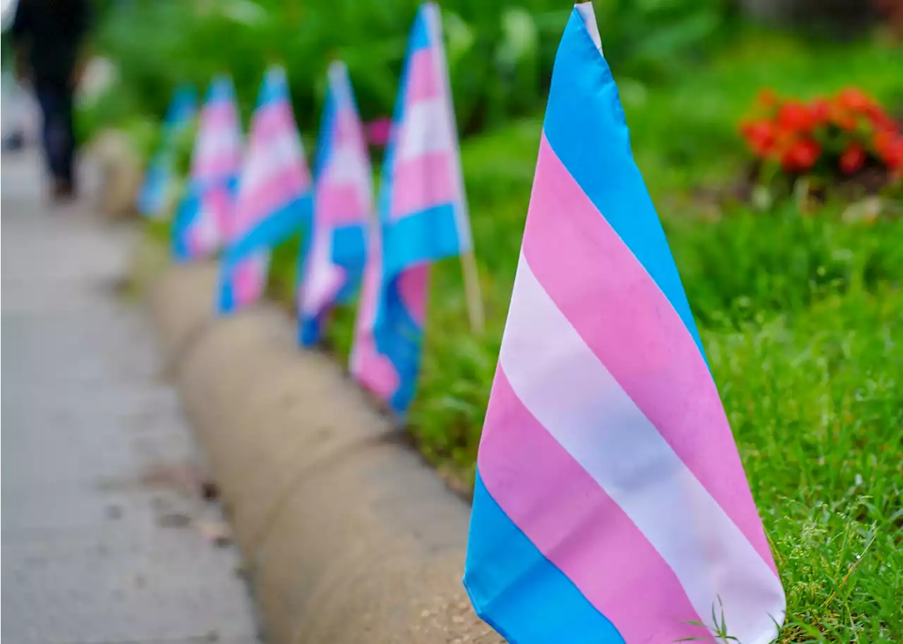 What Virginia’s New School Guidelines Could Mean for Trans Youth - Washingtonian