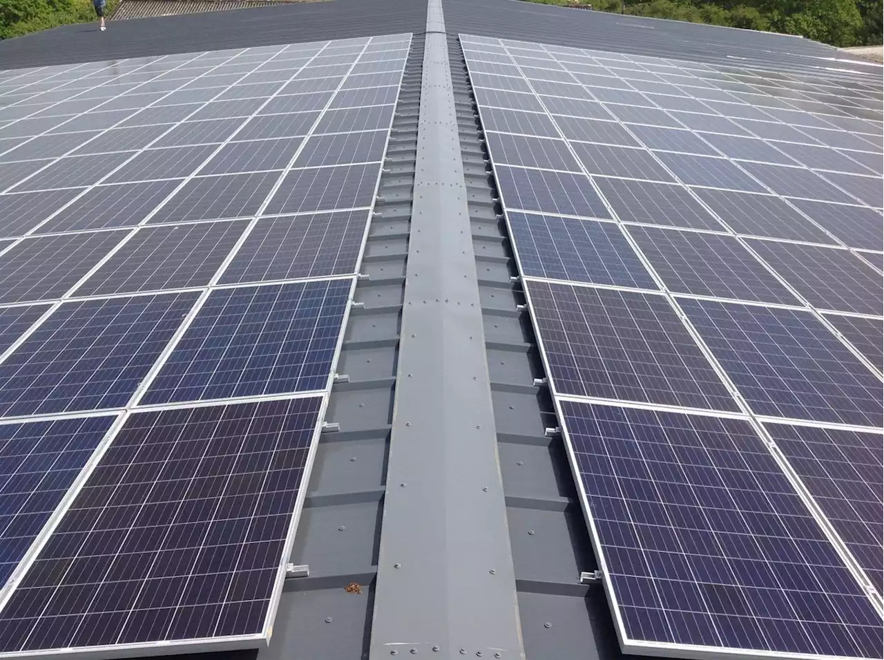 Plans revealed to install 92,000 solar panels in Yorkshire countryside