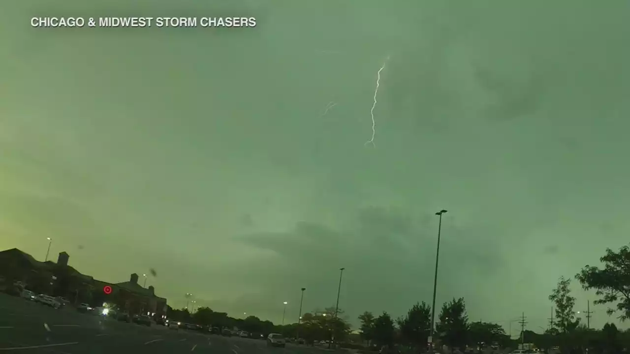 Chicago weather radar: Severe storms down trees as they sweep through city, suburbs