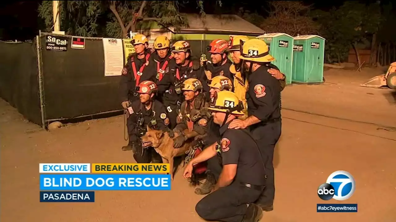 Southern California firefighters rescue blind dog that fell down 15-foot hole at construction site