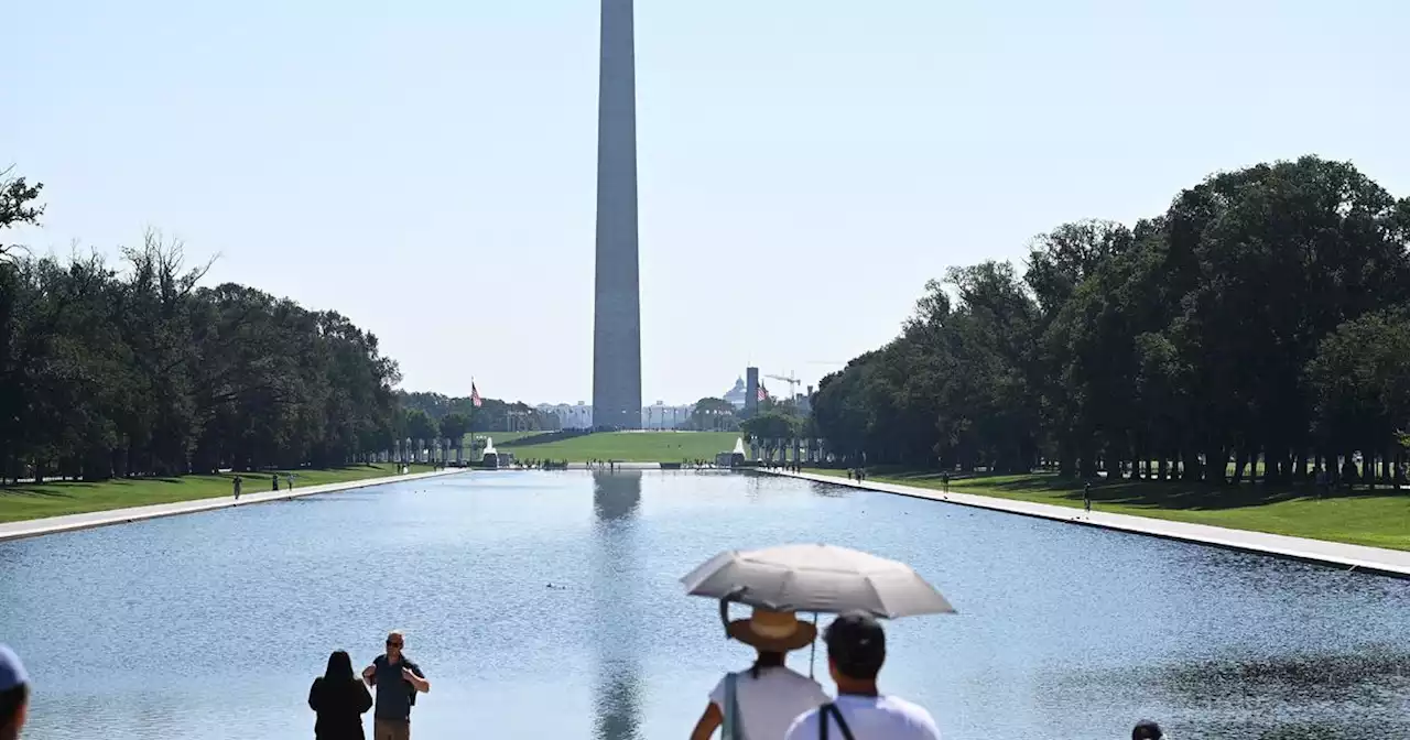 Suspect in custody after Washington Monument vandalized