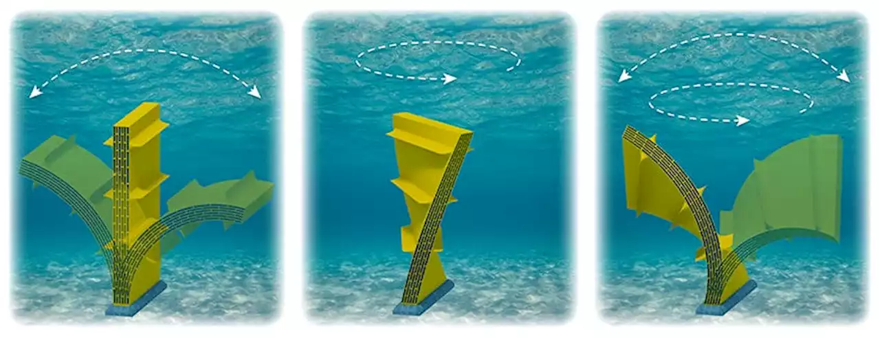 Patented Wave Energy Technology Gets Its Sea Legs